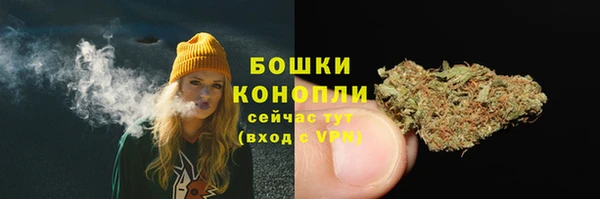 прущие крисы Краснотурьинск