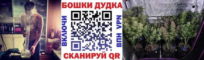 Шишки марихуана семена цены Комсомольск-на-Амуре